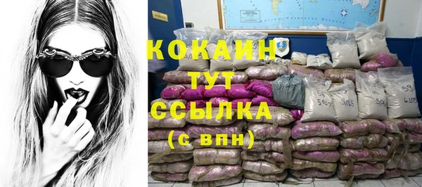 молекула духа Зеленокумск