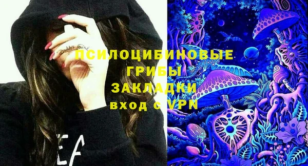 молекула духа Зеленокумск