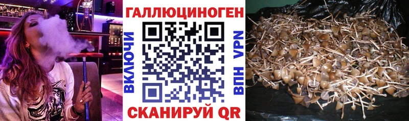 Галлюциногенные грибы Magic Shrooms Купить где Обоянь